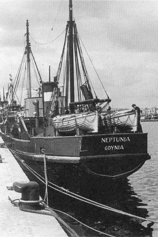 Neptunia(2).jpg