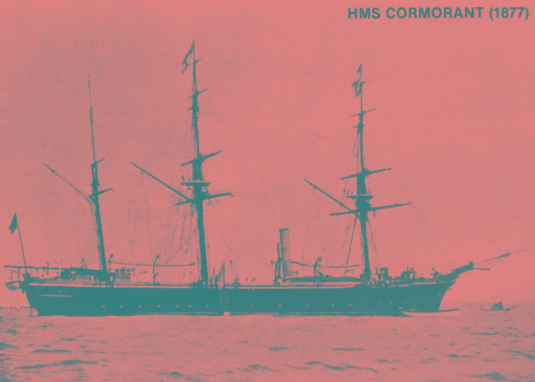 Cormorant.jpg