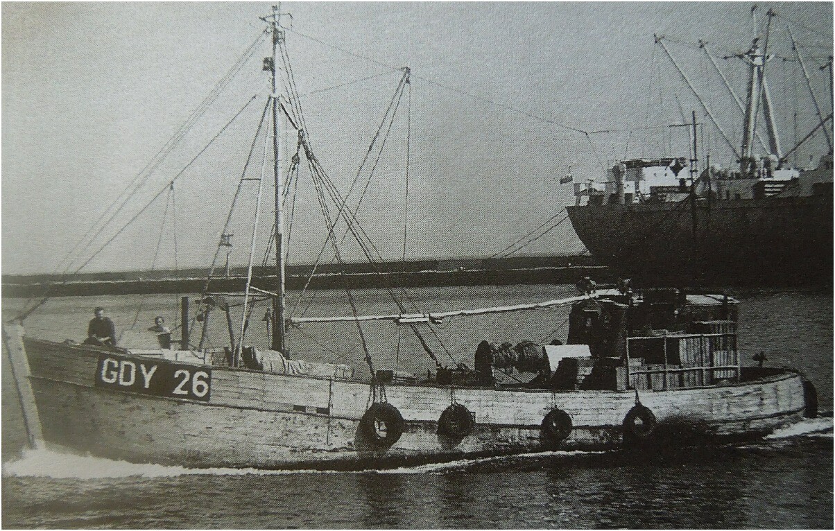 MIR-20-3.jpg