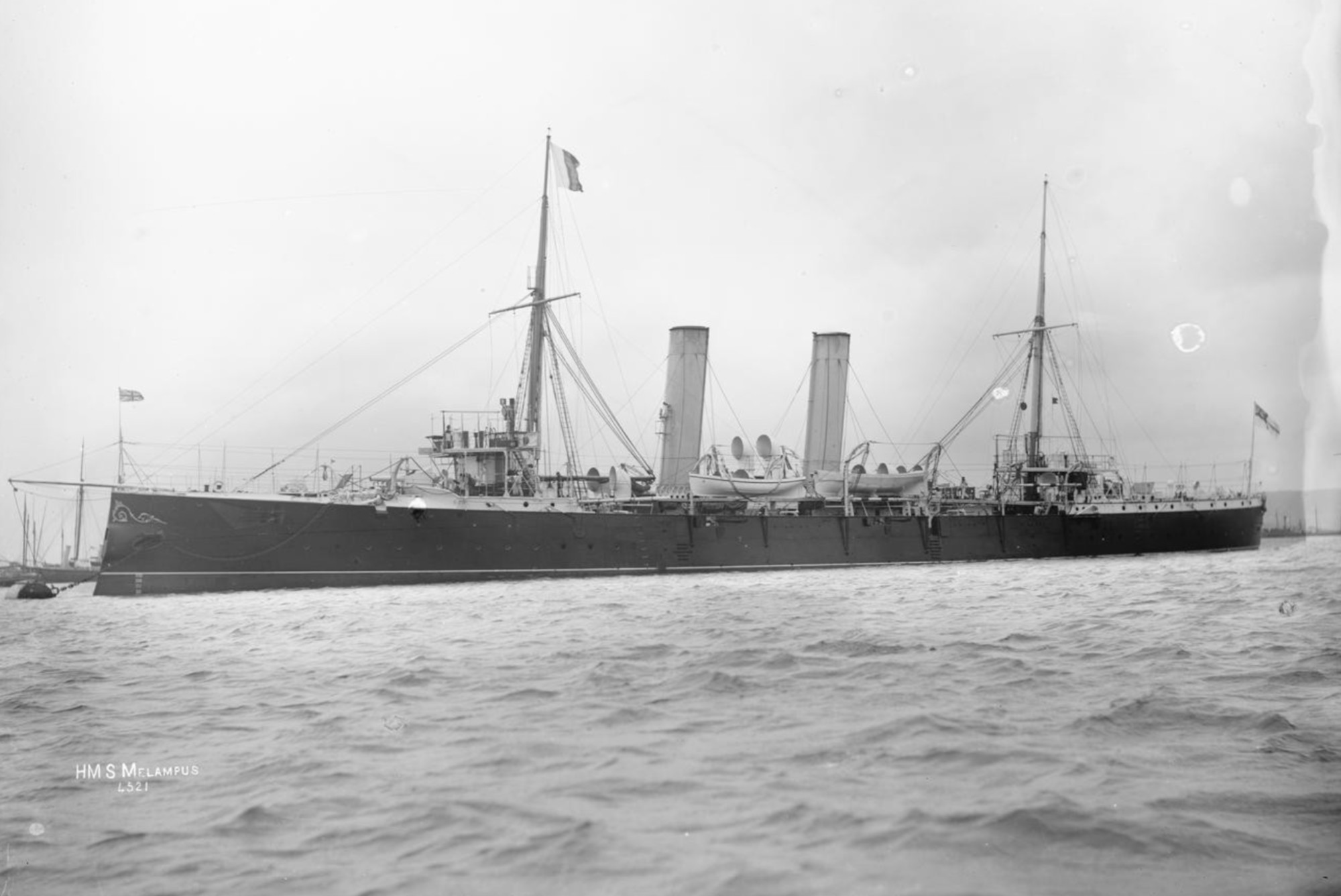 melampus 1892.jpg