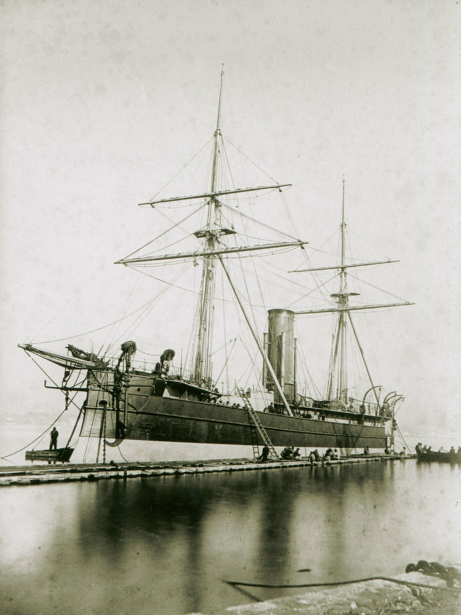 Schorpioen 2158_005525.jpg
