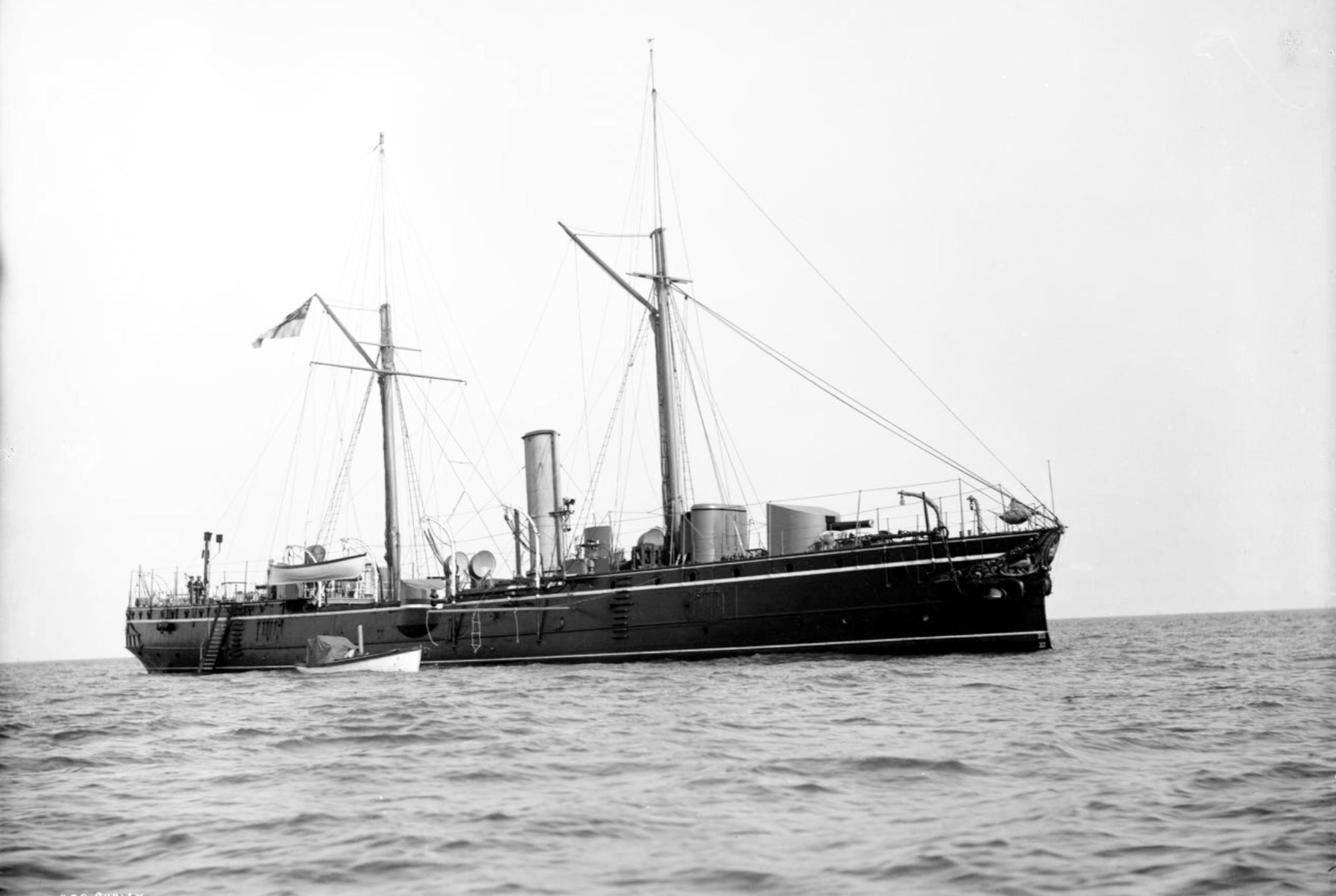 curlew 1889.jpg