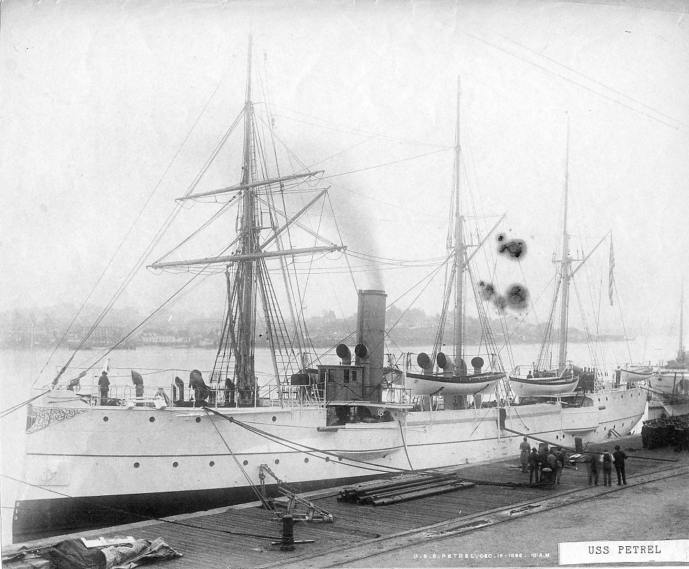 Petrel 1896 (Mare Is. NY) .jpg