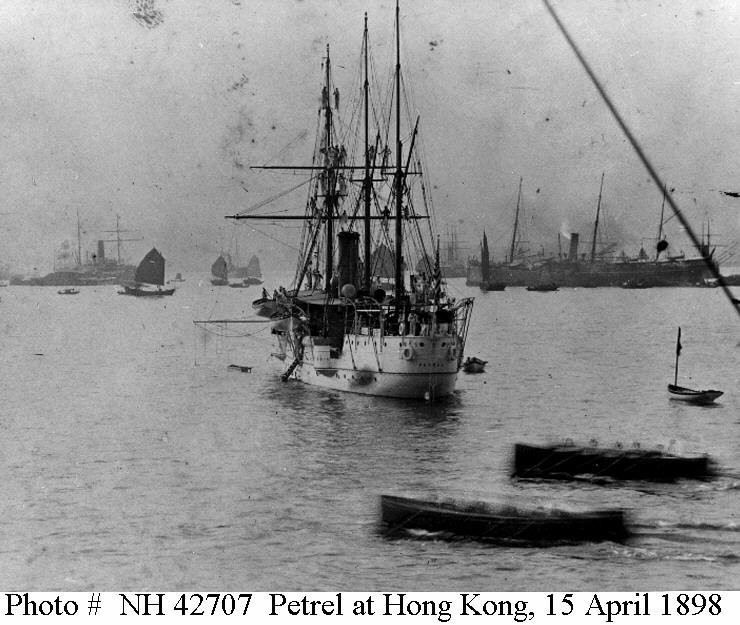 Petrel (Hongkong).jpg