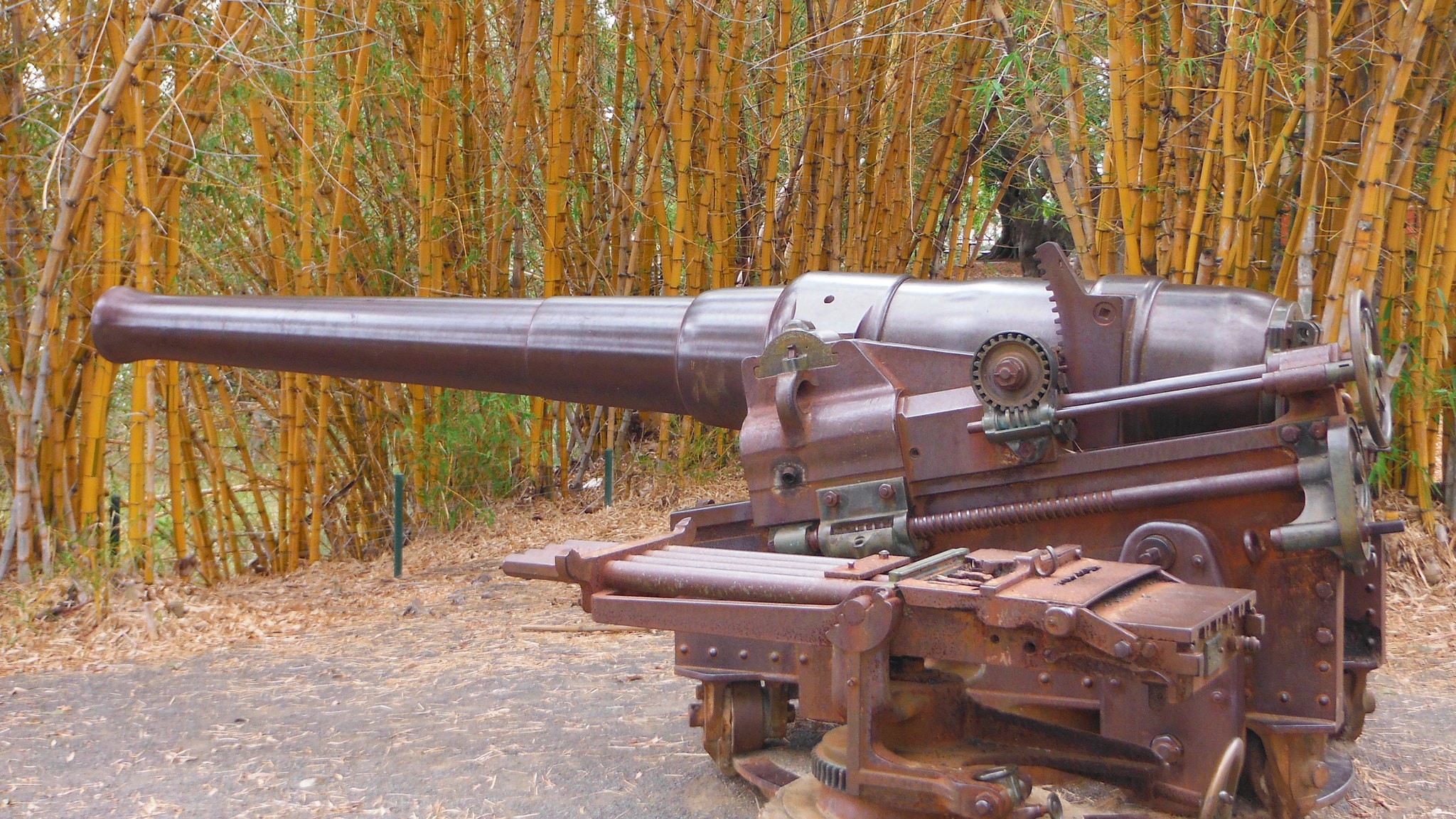 Lima - gun.jpg