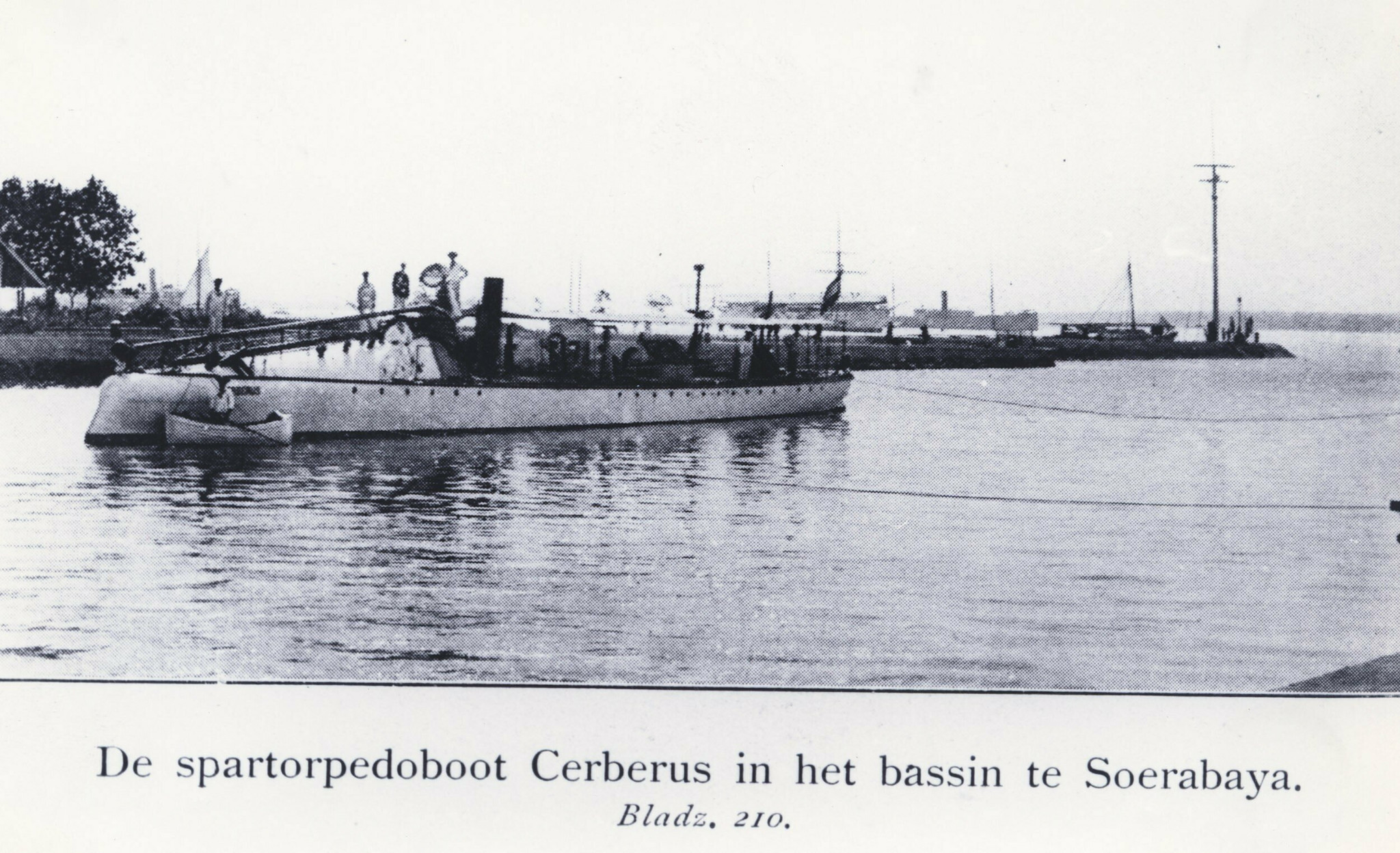 TB Cerberus 2158_027865.jpg