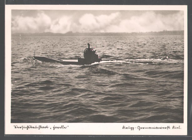 Forelle_1902.jpg