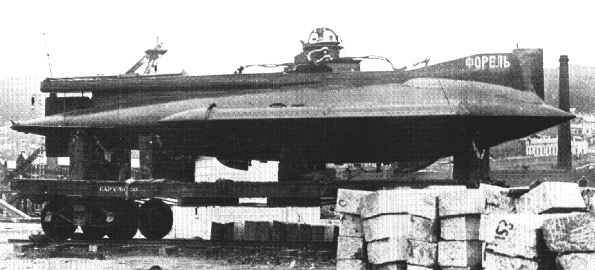 U-forelle.jpg