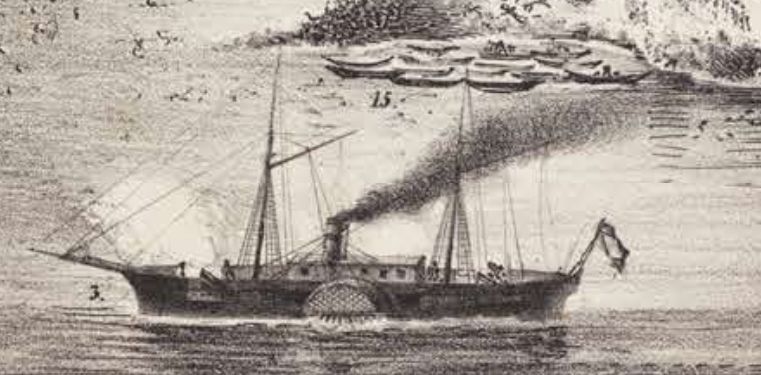 Carvalho 1866 .png