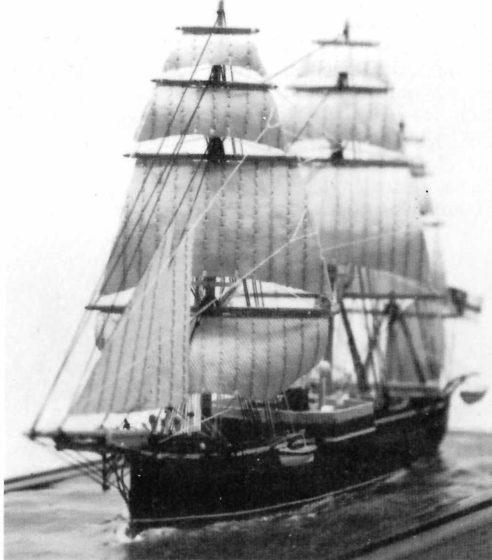 HANSA Model 2.jpg