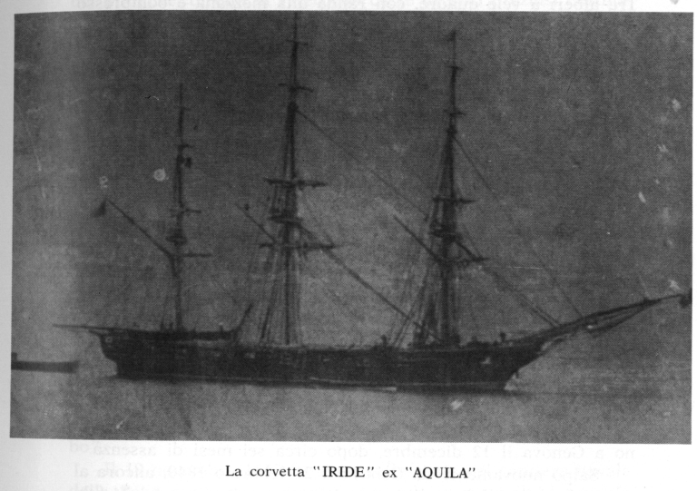 Iride R-1.png
