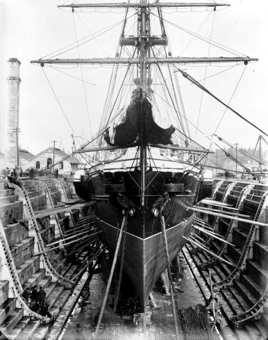 amphion w doku (dziób).jpg