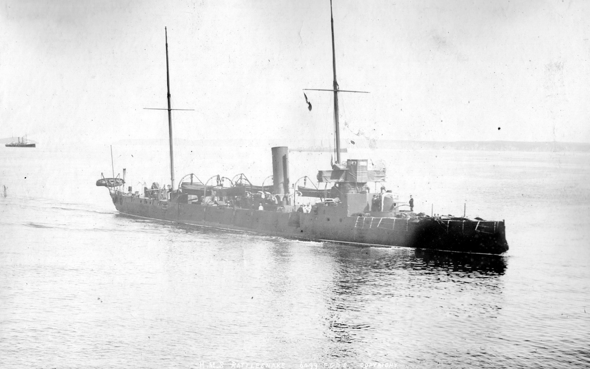 rattlesnake 5.jpg