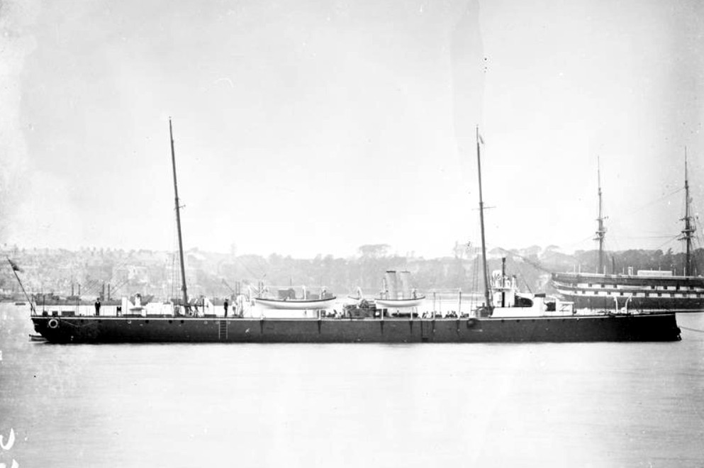 sandfly 4.jpg