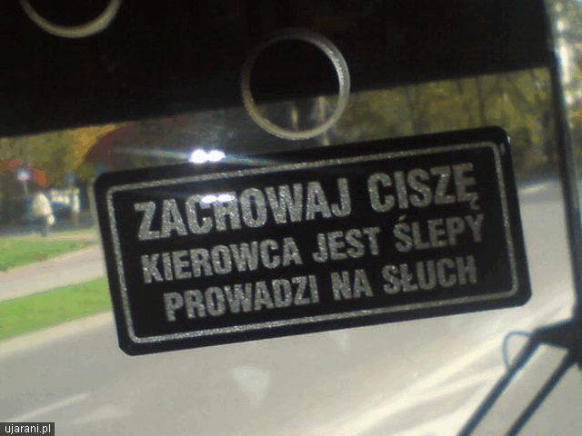 kierowca.jpg
