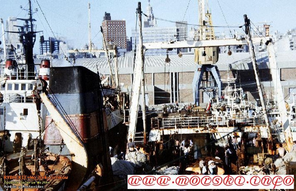 Źródło: http://simen.nazwa.pl/morski/photogallery.php?photo_id=166