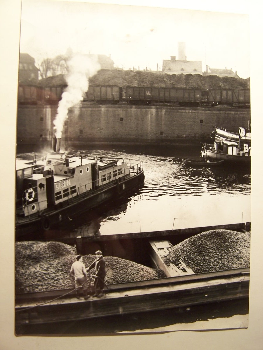 pchacz ŻUBR-0-01
