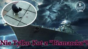 NIe Tylko Kot z Bismarcka.jpg