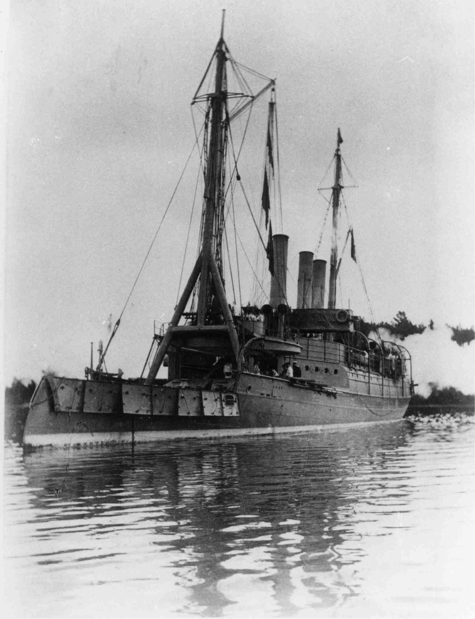 Disa 1892.jpg