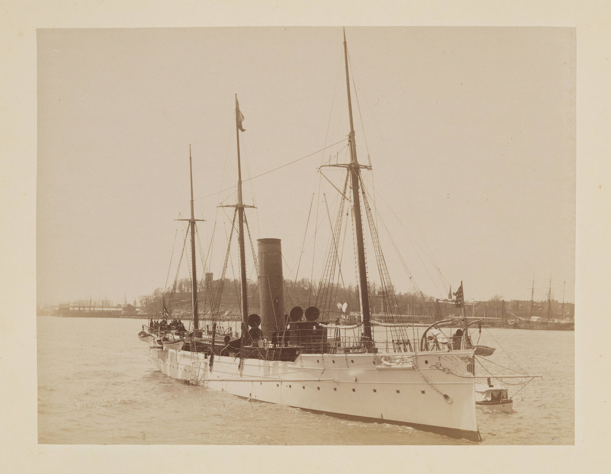 Dolphin 1893.jpg